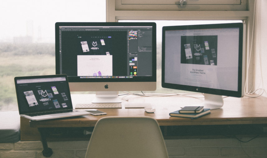 Software & Web Development